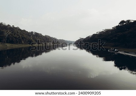 Jungle and Amazon river at sunrise. High quality photo