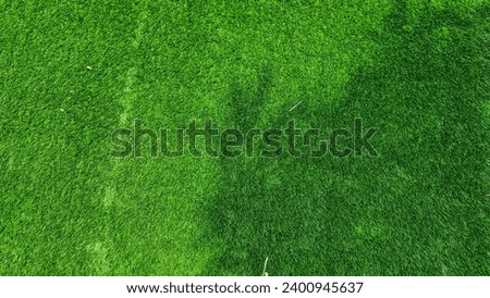 Green grass and the shadow of bamboo tree
