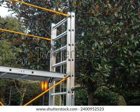 Staircase by the tree. Metal ladder near a bush. Gardener's work