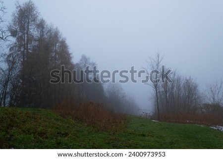 Morning fog near the river