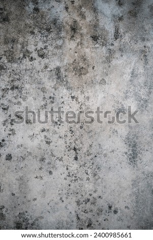 the texture of the white old wall