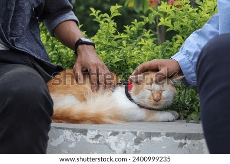 Outdoor portrait of couple holding and giving gentle touch to cat, taking care of his pet in nature park. Love relationship between humans and animals.