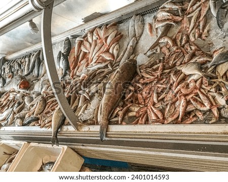 photo of fish market in mersin