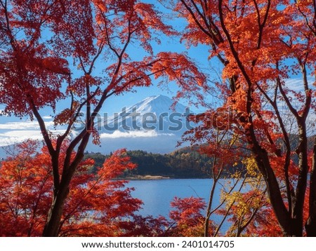 Mountain fuji with red maple in Autumn, Kawaguchiko Lake, Japan Royalty-Free Stock Photo #2401014705