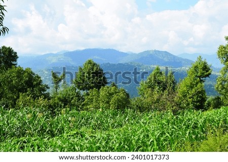 Landscape photograph of mountains in Toli Peer, Azad Kashmir, Pakistan Royalty-Free Stock Photo #2401017373