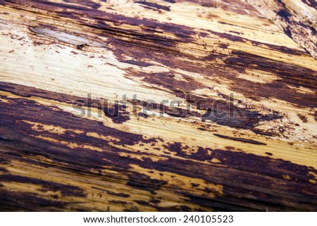 Wood background - abstract wooden retro texture 2