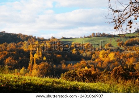 Majestic autumn woodland captured in morning light, showcasing vibrant foliage. Royalty-Free Stock Photo #2401066907
