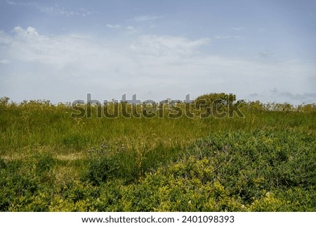 Lush Green Areas along the Dover Coastline