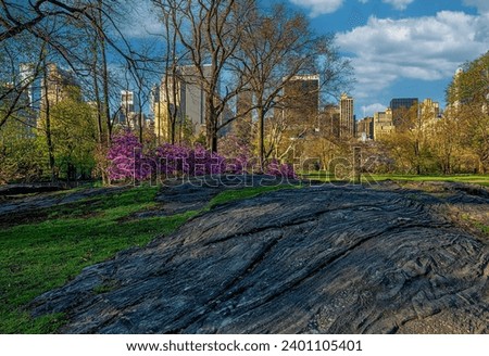Spring in Central Park, New York City, early orning