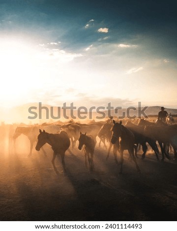 Cowboy with herd of horses on the Field with beautiful sunset and sky in the background. Royalty-Free Stock Photo #2401114493