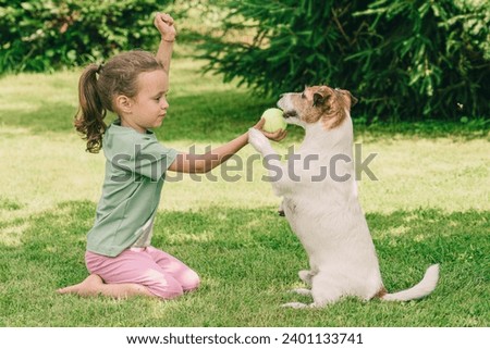 How to train a dog without treats and what non food reward to use. Girl training a dog rewards her pet with a ball toy. Royalty-Free Stock Photo #2401133741