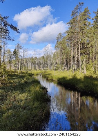 Typical Finnish National Park view with lakes, forest and blue skies. Picture is taken from one of the less visited parks, Patvinsuo which is offering to a hiker real wilderness at its best.