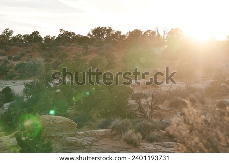 A abstract photograph of the utah desert. The sun glows golden, giving everything a warm feel.