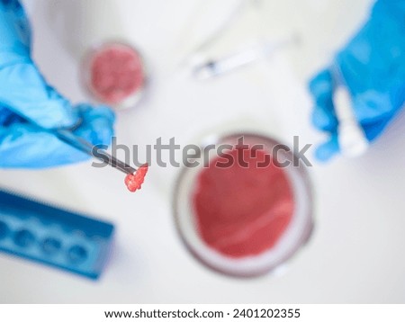 Artificial meat created in the laboratory flat lay Royalty-Free Stock Photo #2401202355