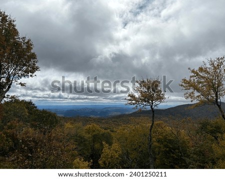 Beautiful scenery pictures of the fall leaves in the mountains.
