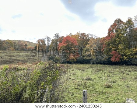 Beautiful scenery pictures of the fall leaves in the mountains.