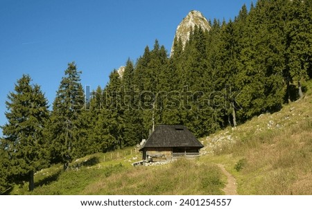 A wooden sheepfold in a beautiful pasture, surrounded by sconiferous forests. Autumn season. A foot trail leads to the log cabin, located in a rocky, mountainous pasture. Buila, Carpathia, Romania. Royalty-Free Stock Photo #2401254557