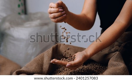 Professional worker hold green coffee beans on background jute bag in warehouse. Concept roaster factory for espresso. Royalty-Free Stock Photo #2401257083
