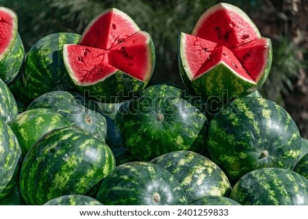 Many big sweet green watermelons on the market