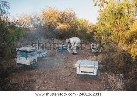Pictures of a beekeeper in the city of Ouarzazate