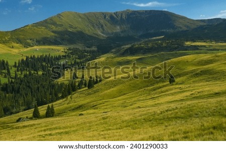 A summer sunset over the alpine grasslands of Rodna Mountains. Carpathia, Romania. Below the alpine pastures, coniferous forests grow at the feet of the mountain peaks. Royalty-Free Stock Photo #2401290033