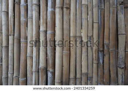 Dry bamboo arranged for interior house partitions or outdoor fences