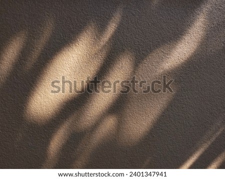 The background picture is an orange cement wall. On the wall is the shadow of the morning sun shining down on  wall. Black and gray leaves shine beautifully into various shapes.