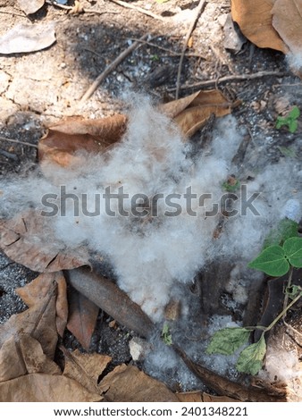 cotton as the basic material for fabric Royalty-Free Stock Photo #2401348221