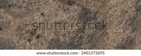 Grey grunge banner. Abstract stone background. The texture of the stone wall. Close-up. Light grey rock backdrop, Real stone background.
