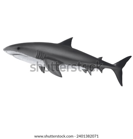 illustration of a shark swiming in the ocean
