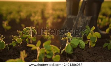 Shovel boots farmer sunset agriculture earth soil fertile sprout seedlings green dig tool work business gardener walk agronomy ground orange engineer environment step tool hardworking ground standing Royalty-Free Stock Photo #2401386087
