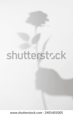 gray shadow of woman hand holding a rose flower on white wall background. Royalty-Free Stock Photo #2401401005