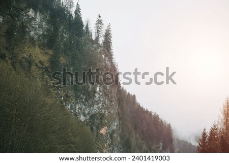 A majestic landscape of the Italian Alps with the sun setting over the snowy peaks of the Dolomites. Panoramic view of the Alpine mountains in Italy with green trees and blue sky at sunset.