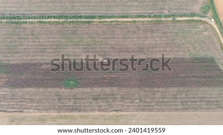 Ginosa, Italy. Harvesting a field with a combine harvester in the light of the evening sun, Aerial View  