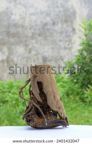Driftwood is the basic material for aquascapes, terrariums Royalty-Free Stock Photo #2401432047