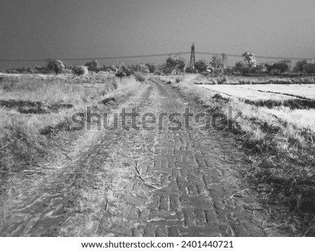 Road In the Village on Infrared Black and White Colour at Azamgarh India