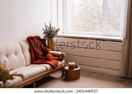 Cozy sofa with a blanket near the window, branches of a fir tree in a vase. Christmas Home Decoration