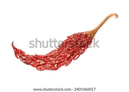 A giant chilli made by real dried red chilies or peppers. A collage idea, creative still life concept of peppers for explain extra hot in ad of other communications. Chilies into a huge chili.
 Royalty-Free Stock Photo #2401466017