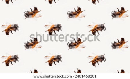 watercolor seamless pattern with insects and bees. hand drawn wild animal illustration. wild insects with repeated diagonal stylish pattern, anthropology, close view of insects.