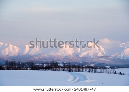Snowy mountains reflecting the setting sun

