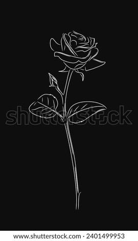 a single rose in a white line on a black background, rose flower wallpaper