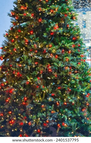 Decorated Christmas tree with colorful lights and ornaments, indoor setting with a blurred background.
