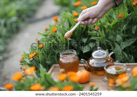 tea party in flowers. A transparent glass teapot and a mug with herbal tea on the table, next to two teaspoons, a jar of honey and tangerines among blooming calendula