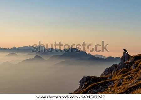 Black bird sitting on rock with scenic sunrise view from Dobratsch on Julian Alps and Karawanks in Carinthia, Austria, Europe. Silhouette of endless mountain ranges covered by mystical fog in valley Royalty-Free Stock Photo #2401581945
