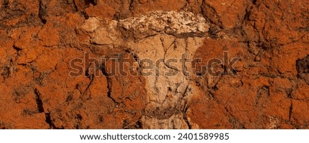 Sedimentary rocks with a high content of iron oxide. Red soil, loam. The texture of the soil. Royalty-Free Stock Photo #2401589985