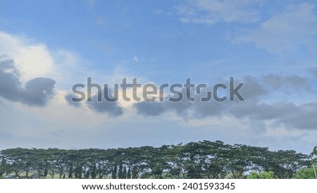 photo of neatly arranged trees with a blue sky covered in clouds as a background