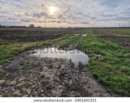 track and puddle bleak agricultural Royalty-Free Stock Photo #2401601321