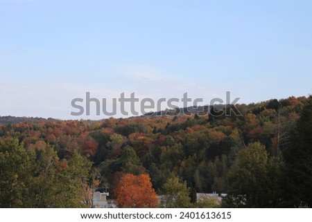 The beautiful Catskill Mountains with peak fall foliage.