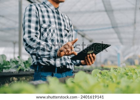 Organic farm ,Worker testing and collect environment data from bok choy organic vegetable at greenhouse farm garden.