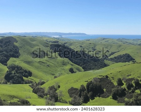 Lush View Laguna Mountains California